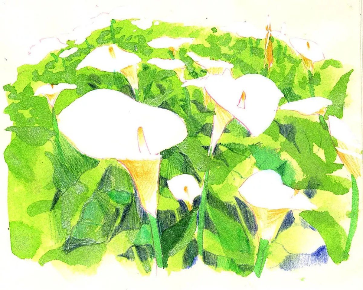 momo24454's tweet photo. 练习 
#illustration  #art https://t.co/QSfwbyGDG7