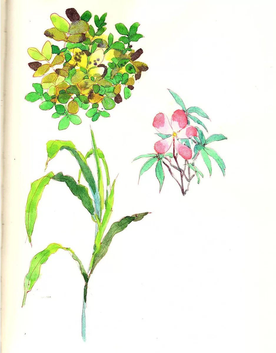 momo24454's tweet photo. 练习 
#illustration  #art https://t.co/QSfwbyGDG7