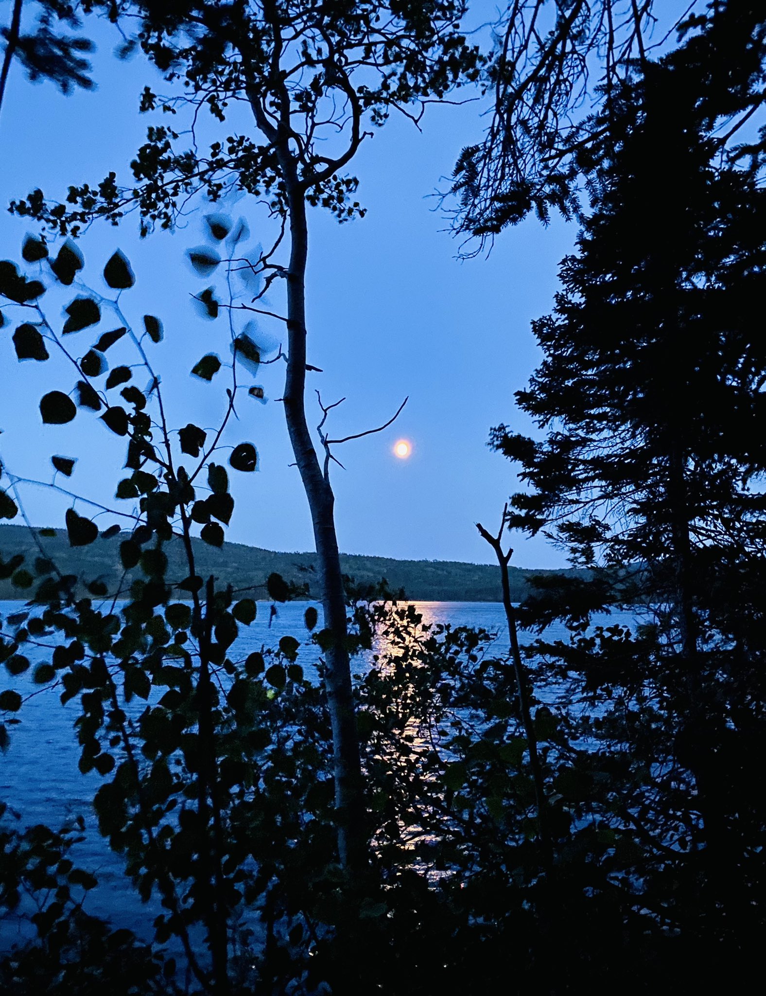 Glen Williams (Glen_Williams68) / Twitter