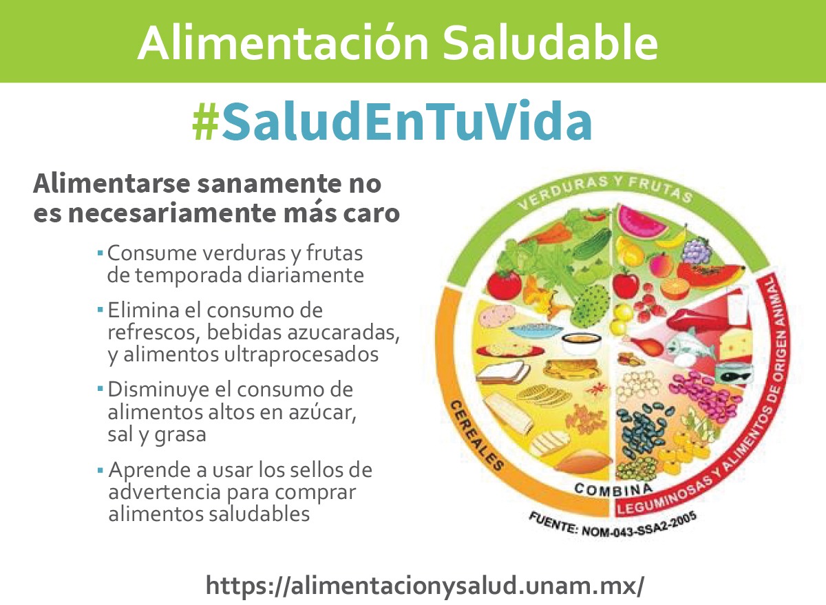 Que es un alimento no saludable