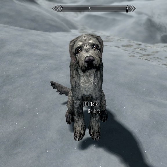 A grey, wiry-haired dog is looking directly at the camera. He is from a video game called Skyrim but honestly looks real to me. There is a prompt to press the E key to talk to him. Would you press it? I sure would.