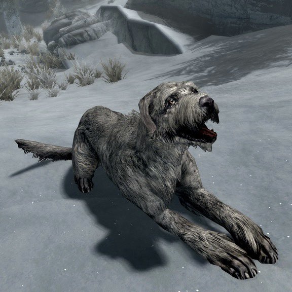 A grey, wiry-haired dog is laying in the snow and smiling. He is from a video game called Skyrim but honestly looks real to me.