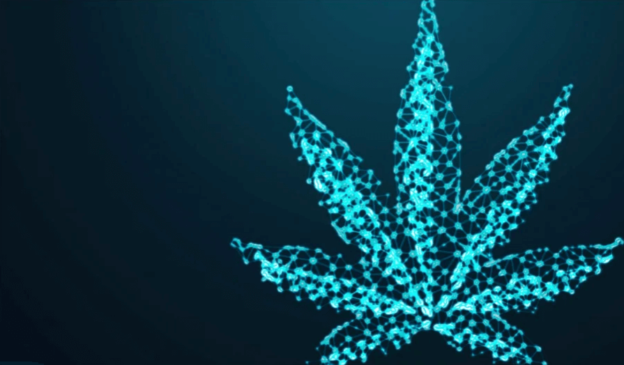 GrowFitAnalytic's tweet photo. Cannabis and big data are intertwined at every step. Visit here to learn more about cannabis analytics in every aspect of commercialized cannabis – production, delivery, and sales. https://t.co/roYvOUX2Z9 https://t.co/9Mjz4jRE19