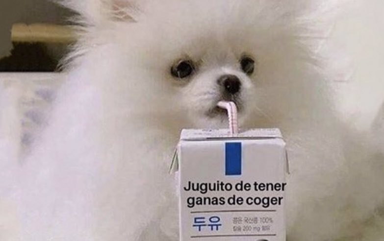 DatosPicantes's tweet photo. Cómo es que siempre tienes ganas de c0g3r????

Yo: https://t.co/c4eQwZnjaD