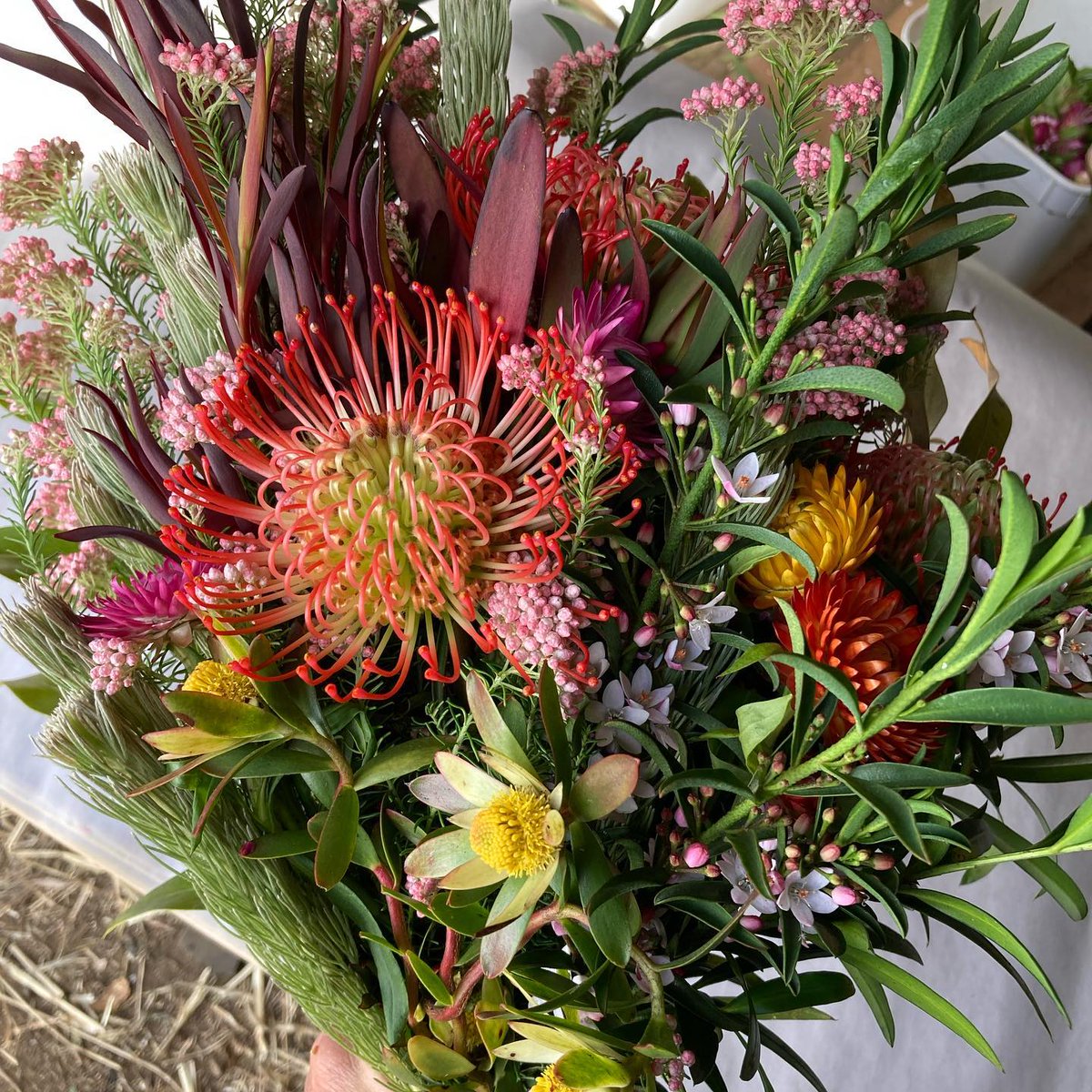 NthCoastMedia's tweet photo. #Lismore Business Awards #HangingRockFlowers To our supporters 🙏❤️for your best wishes - makes all those long days, blood sweat + tears worthwhile
#flowerfarm #lockdownflowers #lismoreflorist #nofloralfoam #ecofloristry #flowerfarmerflorist #northernriversnsw #nativeflowers https://t.co/Smf96AQLDC