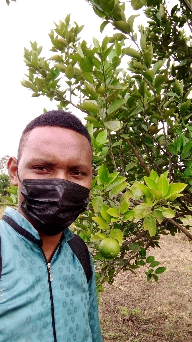 What do you want for next agricultural campaign? #seedling #orchard #fruits