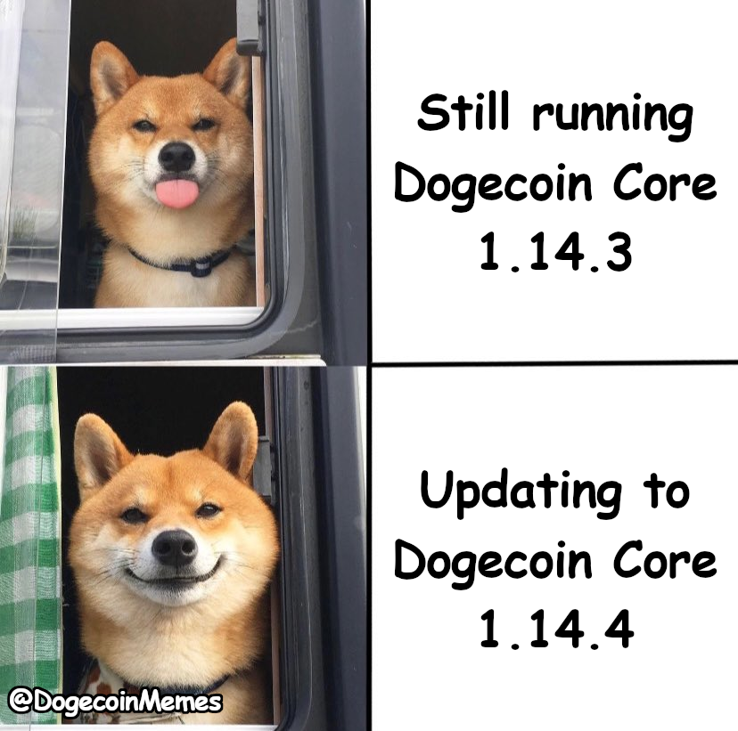 DogecoinMemes's tweet photo. #Dogecoin #DoOnlyGoodEveryday #crypto #doge 

Download Dogecoin Core 1.14.4: https://t.co/SKQX8OpV6t

Meme template credit: @dogeallnight https://t.co/NHYC7pTwt2