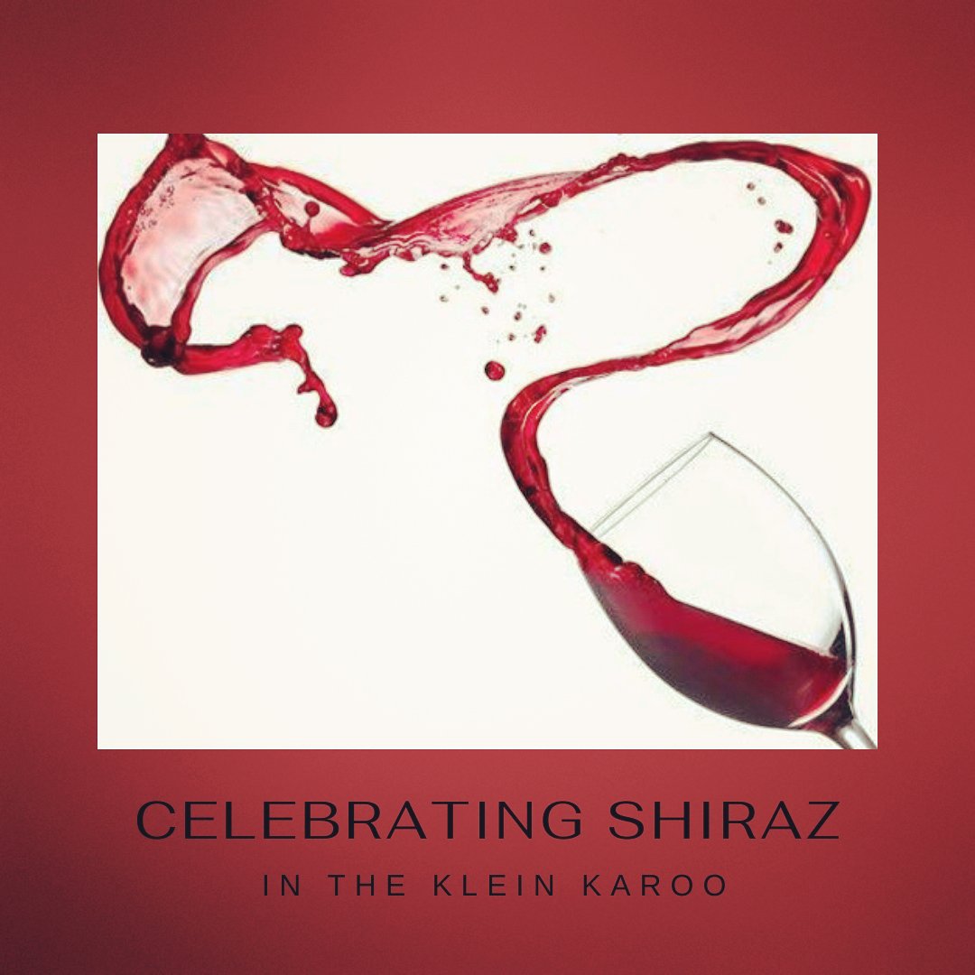 This week we will celebrate Shiraz with the rest of the world.  Toast with us the Shiraz of the Klein Karoo...