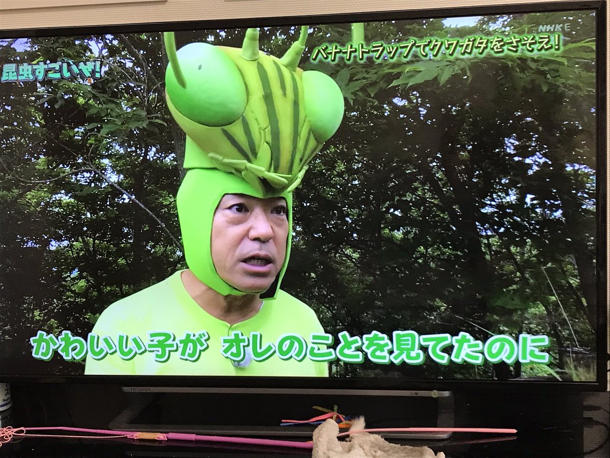 ひょんな琴代 A Twitter ひょんな琴代 がテレビ見て爆笑するのはお笑い番組じゃない Eテレ 香川照之の昆虫すごいぜ 緑の学校 ジャージ着てた初期の頃から熱い昆虫愛に笑わせてもらってます 虫好きなのは息子だけど Nhk