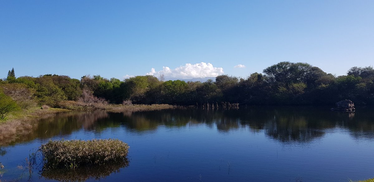 Beautiful day hiking the Tygerberg yesterday. Spring is near🌼🌼🌼