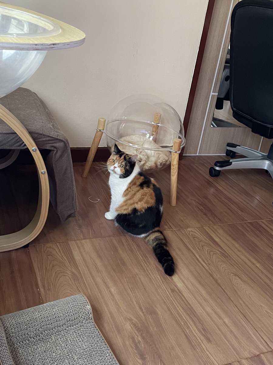 พี่บีมไม่หายใจแล้วค่ะ