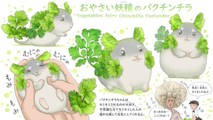 「シャツ 野菜」のTwitter画像/イラスト(人気順)