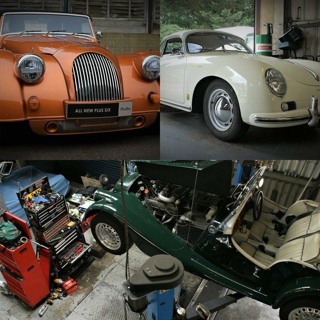 What the camera saw today instagr.am/p/CS04ue9CjJI/