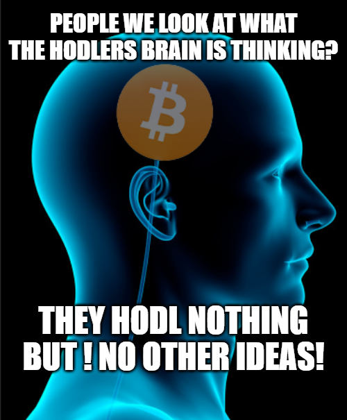 @BTC_Archive @michael_saylor Unlimited HODLing
