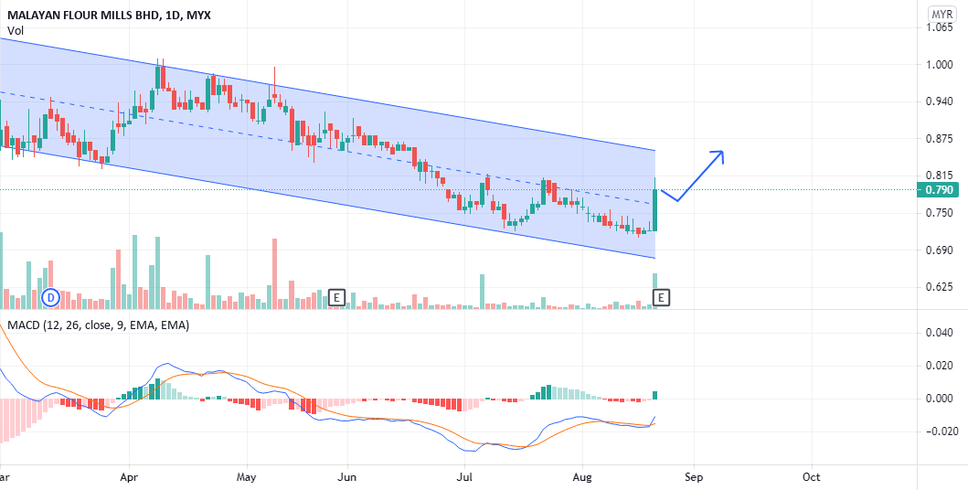 AlertTrade's tweet photo. Trading Ideas: Mflour rebounce after divergence https://t.co/BNHkjTZ9HG 📈 FREE trade-of-week via ⟶ https://t.co/BCEHq7Ce2N https://t.co/9GqTRr84pp