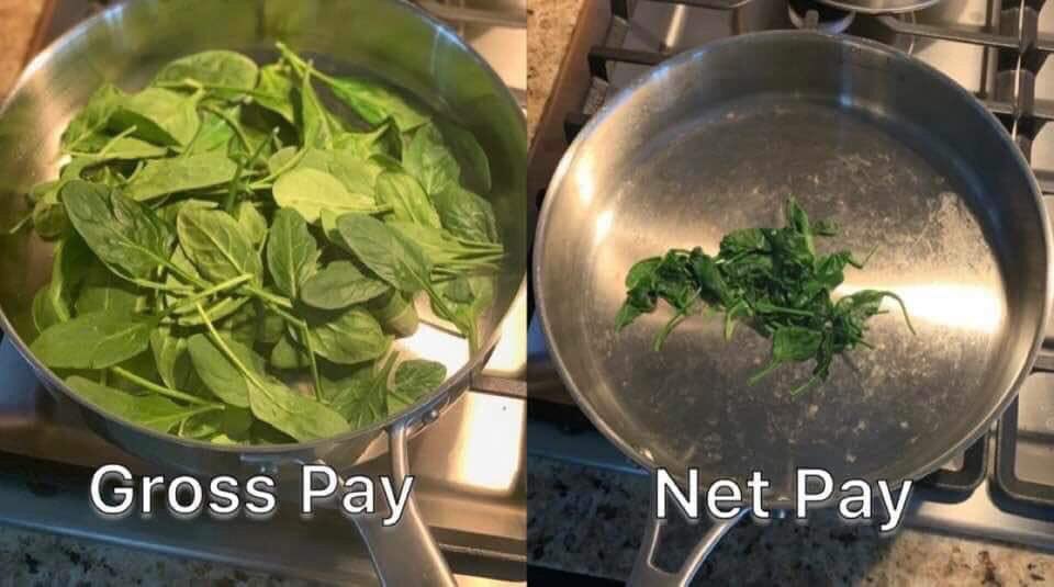 Gross pay net pay