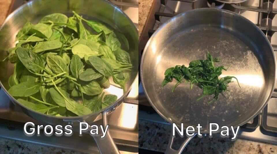 Gross pay net pay