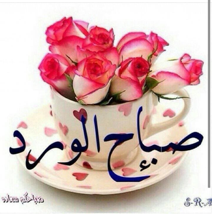 .مراد tweet media