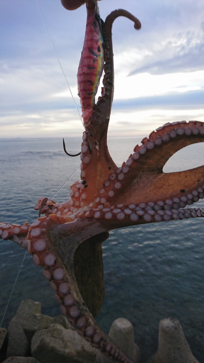 輪島 Twitter Search 輪島 Twitter Search