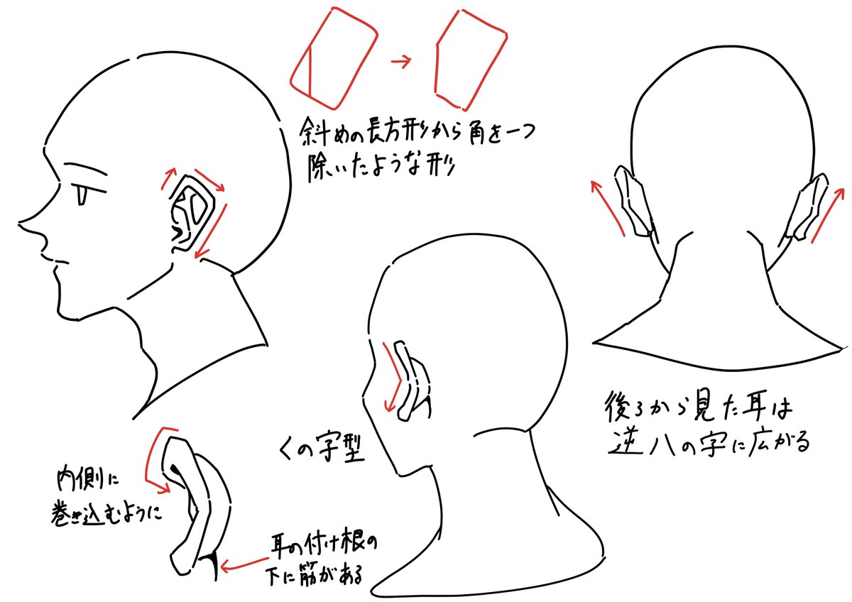 顔の角度によって耳の形は変わります ふるいけゆうじ イラスト上達法の漫画