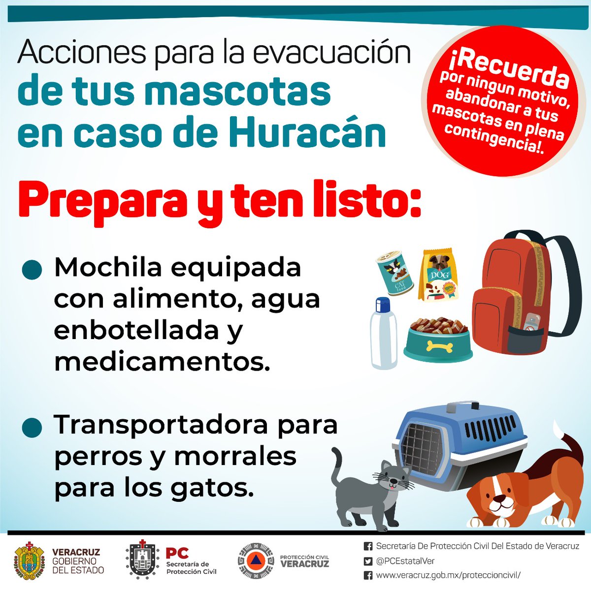 PCEstatalVer's tweet photo. 🐱🐶 Evacúa a tus mascotas de manera adecuada ante las tormentas y huracanes.⛈️ ¡No arriesgues tu integridad, ni la de los equipos de emergencias!

Sigue estas recomendaciones y ¡recuerda!, los rescates de fauna silvestre y doméstica deben realizarla personas capacitadas.⛑️ https://t.co/MfD29TwB77