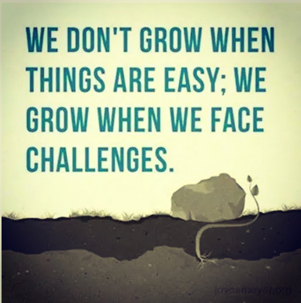 RaneDurga's tweet photo. Good Morning
#Saturday #SaturdayLife #SaturdayQuotes #SaturdayThoughts #SaturdayKindness #SaturdayPeace
#SaturdayLessons #SaturdaySaturday #SaturdayMorning #SaturdayMotivation #SaturdayVibes #SaturdayHappiness #SaturdayPositivity #GoodVibes #PositiveVibes #Happiness #Joy #Peace https://t.co/zQTo2GGWIm