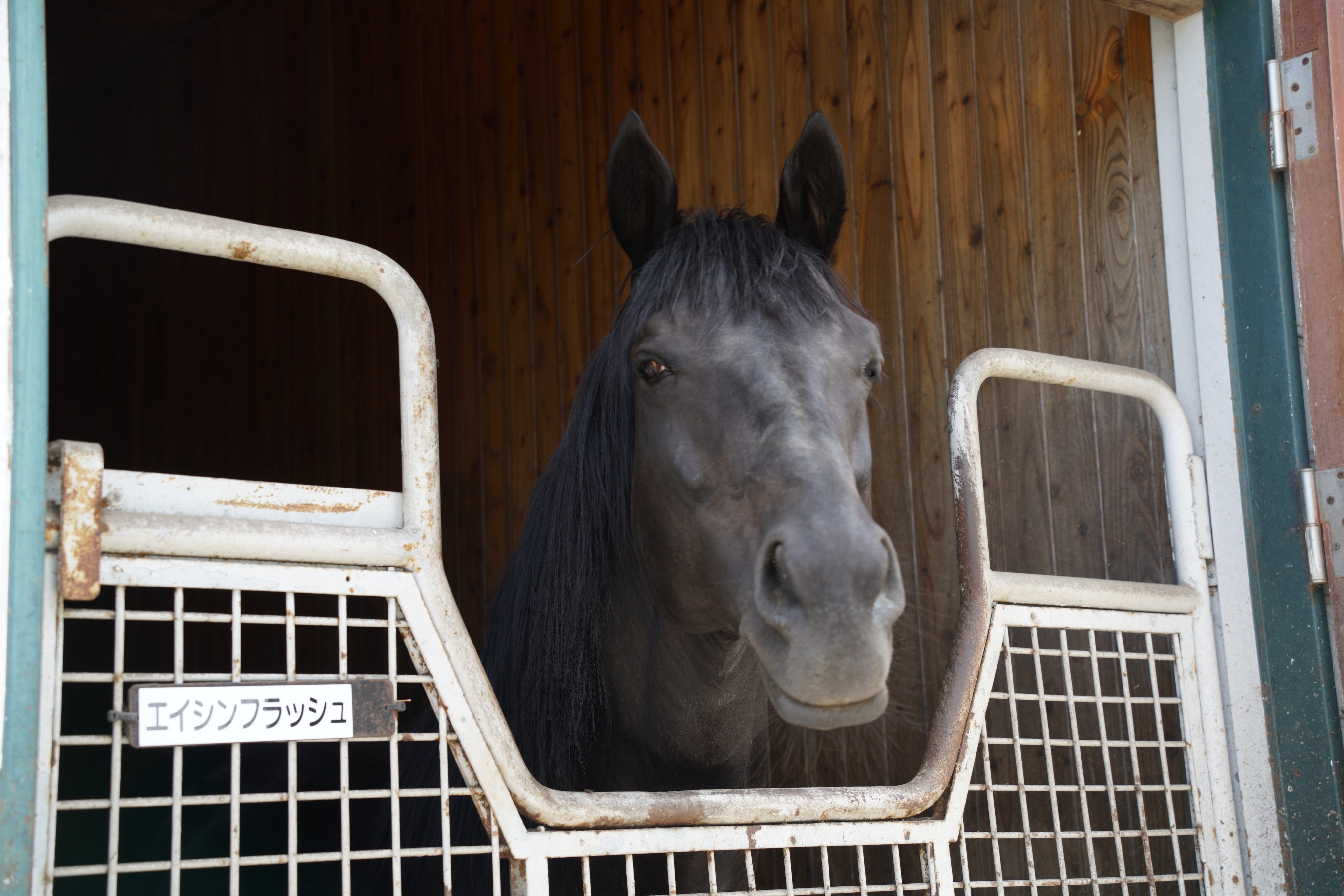 こんそめ (@consomme72) / X