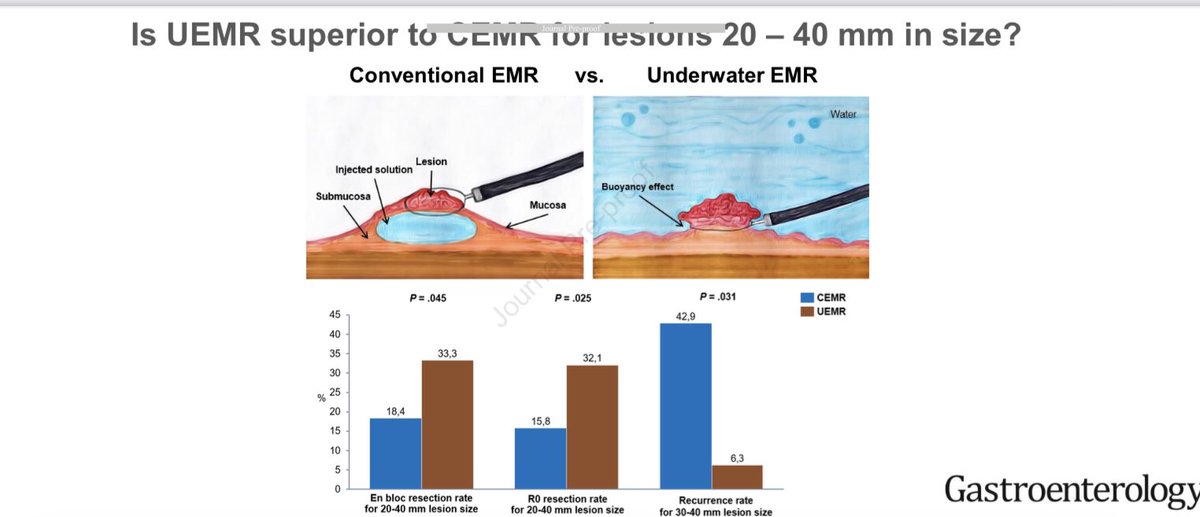 Steven Bollipo tweet media