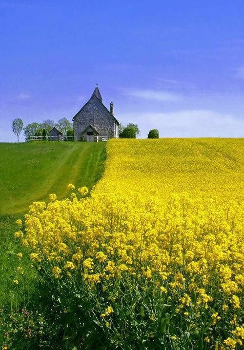 Have a nice day my friends.
#nature #NaturePhotography