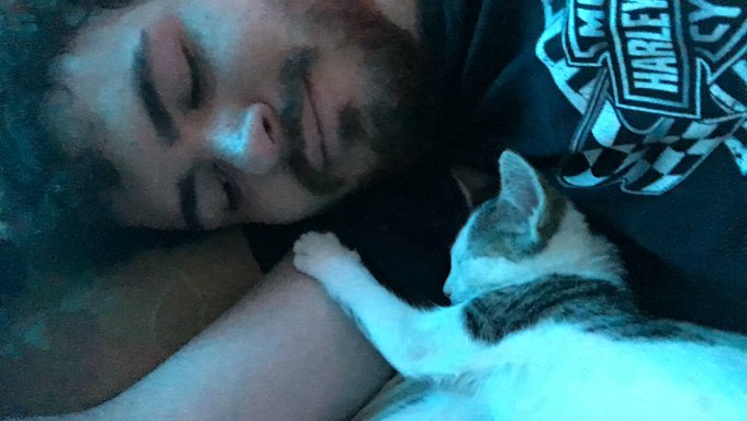 Aprovechando que Michi es tendencia les presumo a mi Cowie ❤️ https://t.co/b7ciW2NWwN<a href="/tag/vida"class="tags"><span>#vida</span></a>