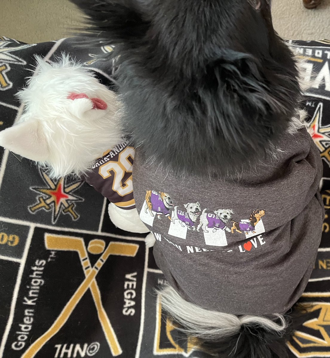 VGKPandaPup's tweet photo. @BarkAndreFurry Bark, our pack is so sorry for your, and James pack’s loss. To help in #RememberingJames, my pack donated on your ambassador page again, in memory of James.
❤️ Lola
#VegasBorn
#VGK9Krew
#PawYouNeedIsLove https://t.co/2VeyNOY6Yp