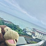 徳島県人🐒のツイート画像