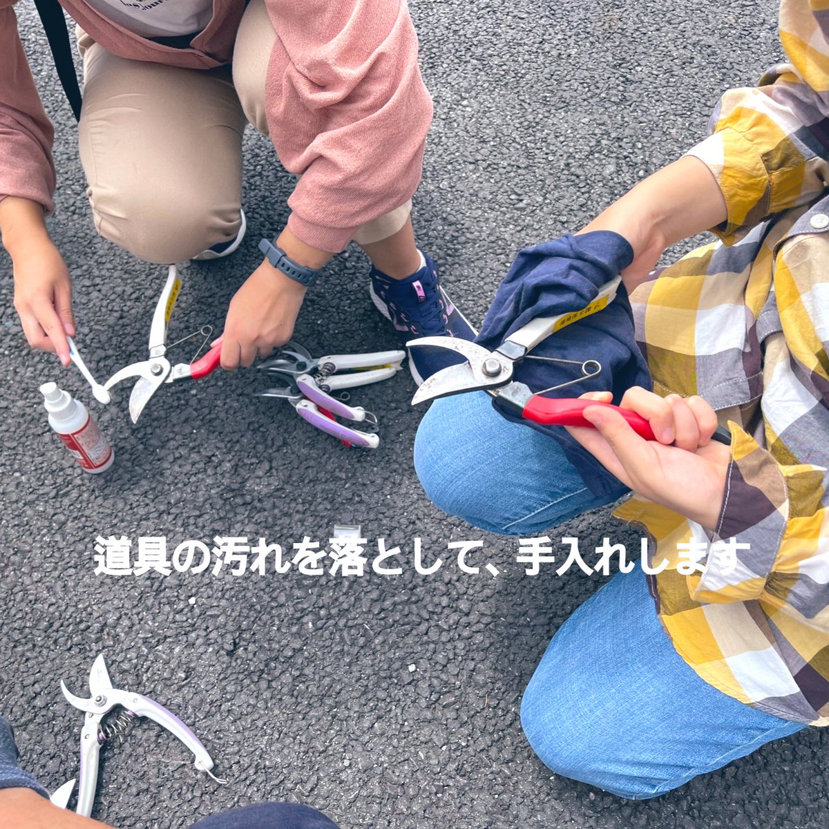#調布サマーボランティア2021
活動の様子を報告してく～🌿

入間樹林の会
国分寺崖線の一部の入間樹林で活動しています。
今日はアズマネザサの草刈りと、竹切りや植物の観察もしました🌼

ボランティアの皆さんのおかげで、とてもきれいになりました☺️✨

おつかれさま🌱

#夏ボラ　#自然