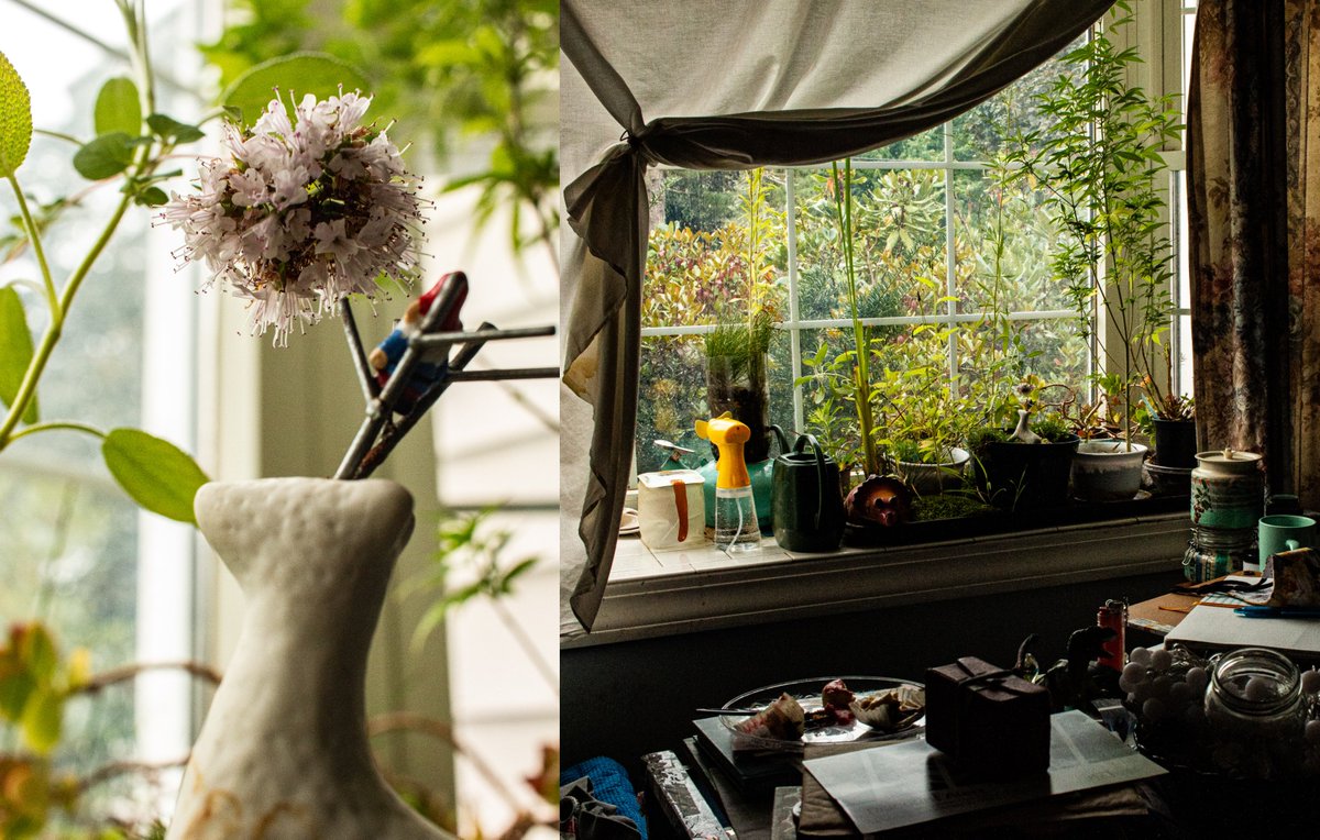 TrueLifePicsMA's tweet image. Social Media vs Real Life 
#CaptureTrueLife