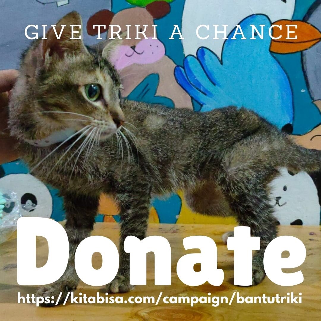 Catrescue.id tweet media