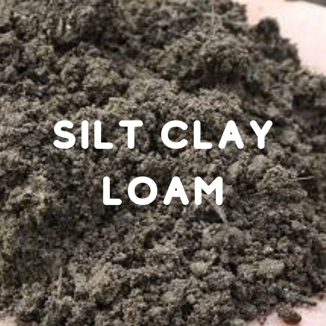 peat_free's tweet photo. Day#11 of 12 soil types in 12 days based on #usda #soiltexturetriangle
Gotta get them all!!!
Let's hear it for the #siltclayloamsoil
#Whatsyourtype?

#nature #garden #plants #gardening #grow #mygarden #gardens #gardenlife #harvest #gardendesign #gardener #urbangarden https://t.co/Lu0WnaDDtf