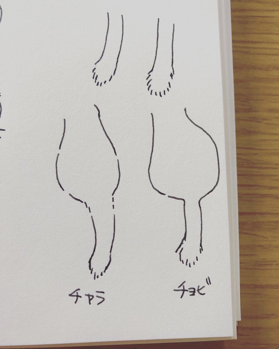 万年筆デビューしました 