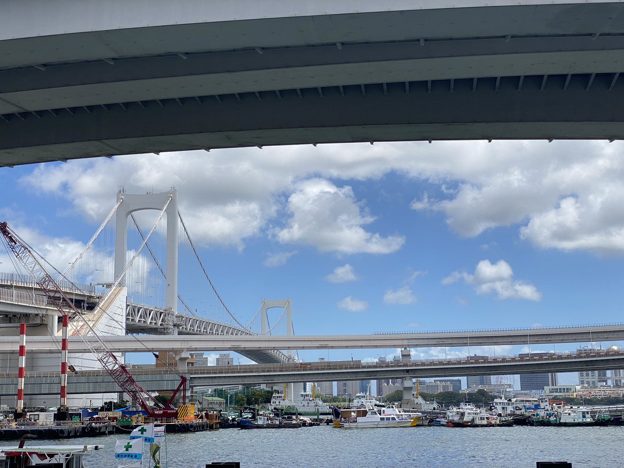 تويتر Movicle 電動キックボードシェアサービス على تويتر 今日はキックボード気持ち良さそうです 東京タワーやお台場までスィーっとドライブいかがでしょうか Movicle モビクル 電動キックボード 東京タワー お台場 T Co Tavtrm5sgr