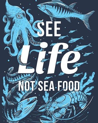 angie_karan's tweet photo. Fish are sentient animals who experience pain, fear, and suffering. We need to bring them into our circle of compassion. They deserve consideration and protection. Sea life not seafood. #LetFishLive ππ³π¦π¦ππ¬ππ¦π π¦ https://t.co/rV5EJHyKkA