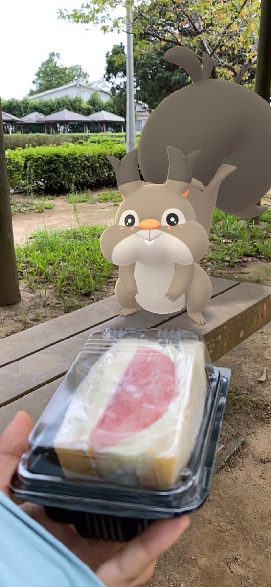 pokechikum's tweet photo. ホシガリスちゃん可愛いからフルーツサンドあげるね
#ポケモンGO
#PokemonGO
#GOsnapshot https://t.co/VhH7BDStJu