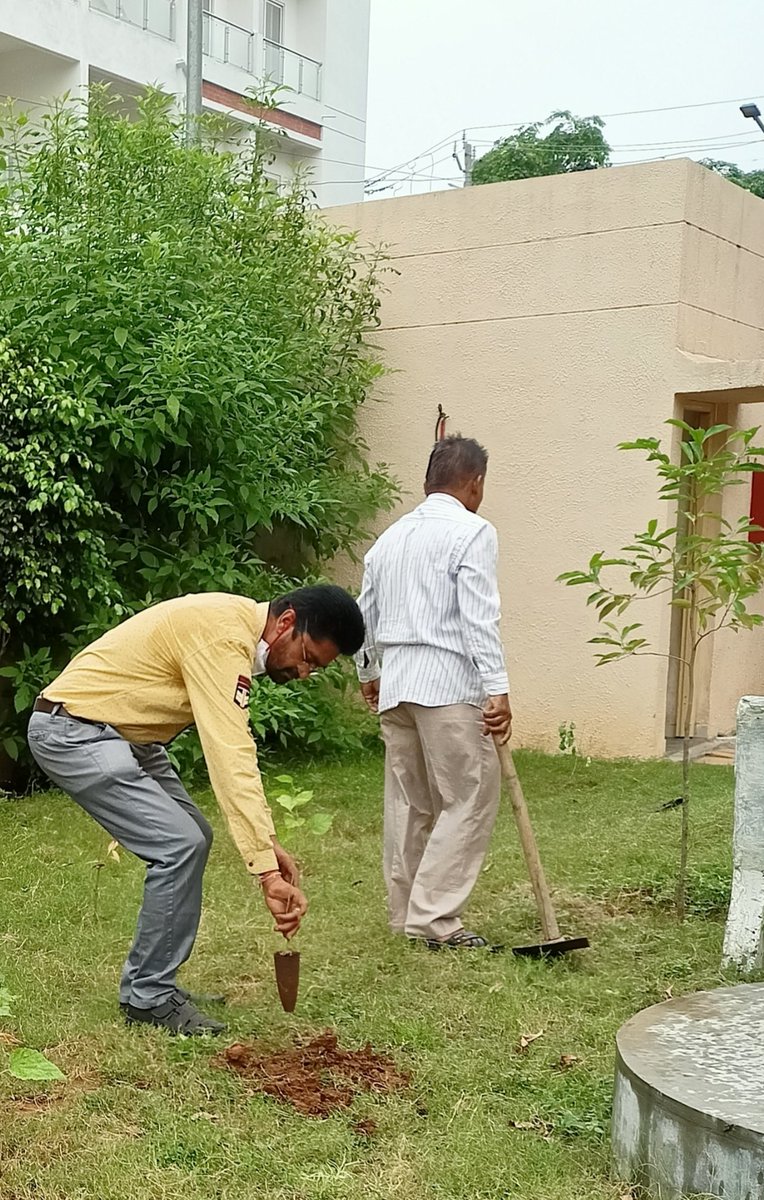 rushibrother's tweet photo. આજ રોજ  #મોહરમ  અને #રક્ષાબંધન પર્વ દરમ્યાન #મામલતદાર  #એકઝીક્યુટીવ #મેજીસ્ટ્રેટ, #વડોદરા (દક્ષિણ)  કચેરી ૪,  માં #વૃક્ષા રોપણ નો કાર્યક્રમ રાખવામાં આવ્યો હતો.@CollectorVad @YouthBarodian #વડોદરા #ગુજરાત @ABPNews @ZeeNews @1stIndiaNews @News18India https://t.co/gbO1bEnT63