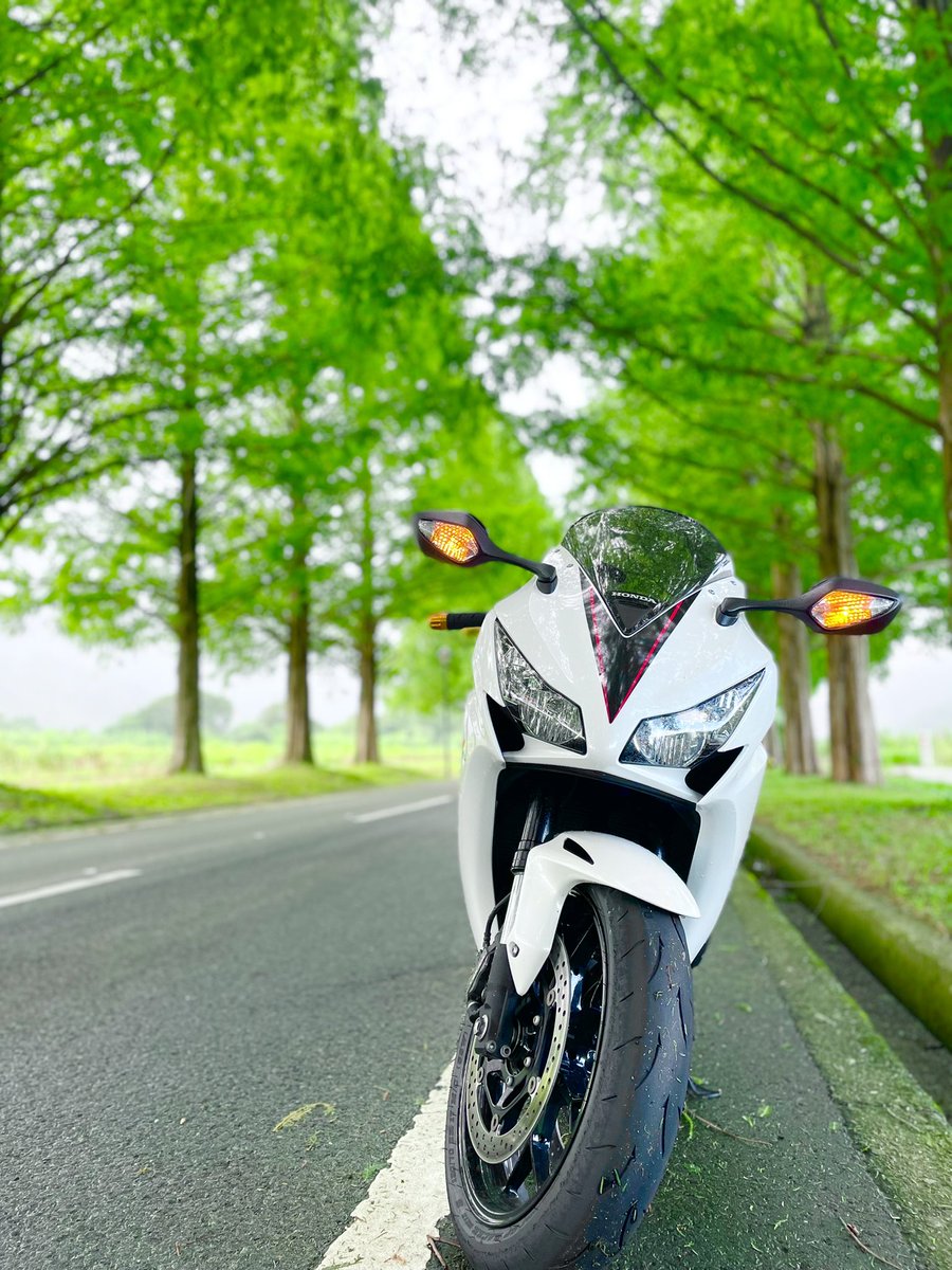 jy_12kt's tweet photo. .
.
.
#cbr1000rr #honda #hondacbr #hondabike #cbr #1000rr #bike #bikelife #autobike #sc59後期 #ホンダ #バイク #ホンダが好きだ #hondaが美しい #バイク好きな人と繋がりたい #バイクのある風景 #ツーリング仲間募集中 #滋賀 #メタセコイア並木 https://t.co/9Fqr4Q1tuj