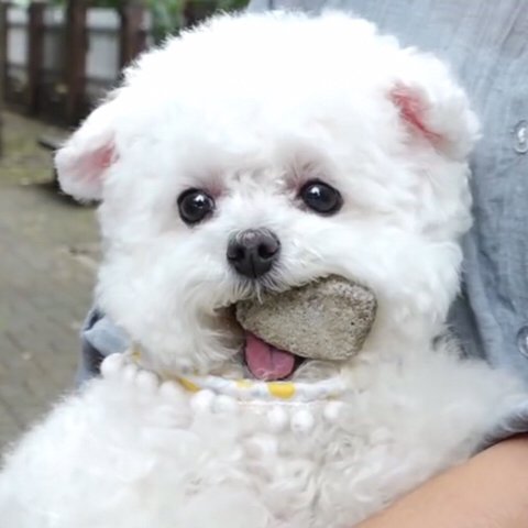 츄깅 tweet media