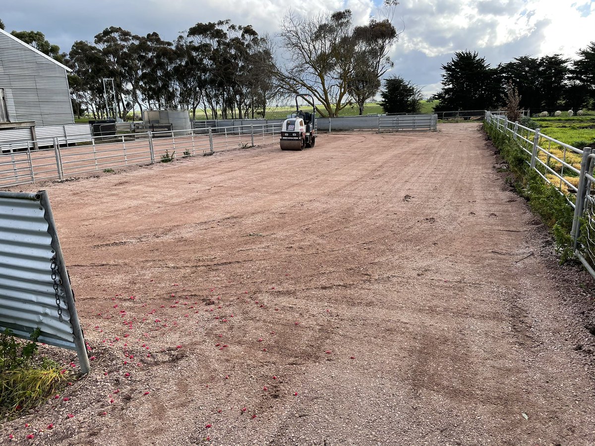Yards clean out gravel back in and rolled ready for lamb marking, lambs will be a bit cleaner this year