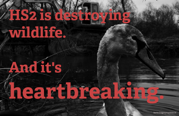 WildlifeTrusts's tweet photo. Destructive infrastructure projects such as HS2 are undermining efforts to restore nature. The Government must start putting our planet first. We cannot tackle the climate crisis by making the nature crisis worse. ❌🌳
Ask your MP to speak up about HS2! 📣 https://t.co/vduBqxeOMZ https://t.co/RsKOtdbfe2