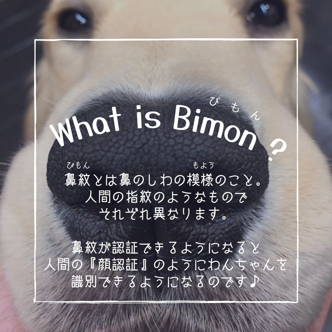 Nose Id 鼻紋認証 Official Noseid Official Twitter