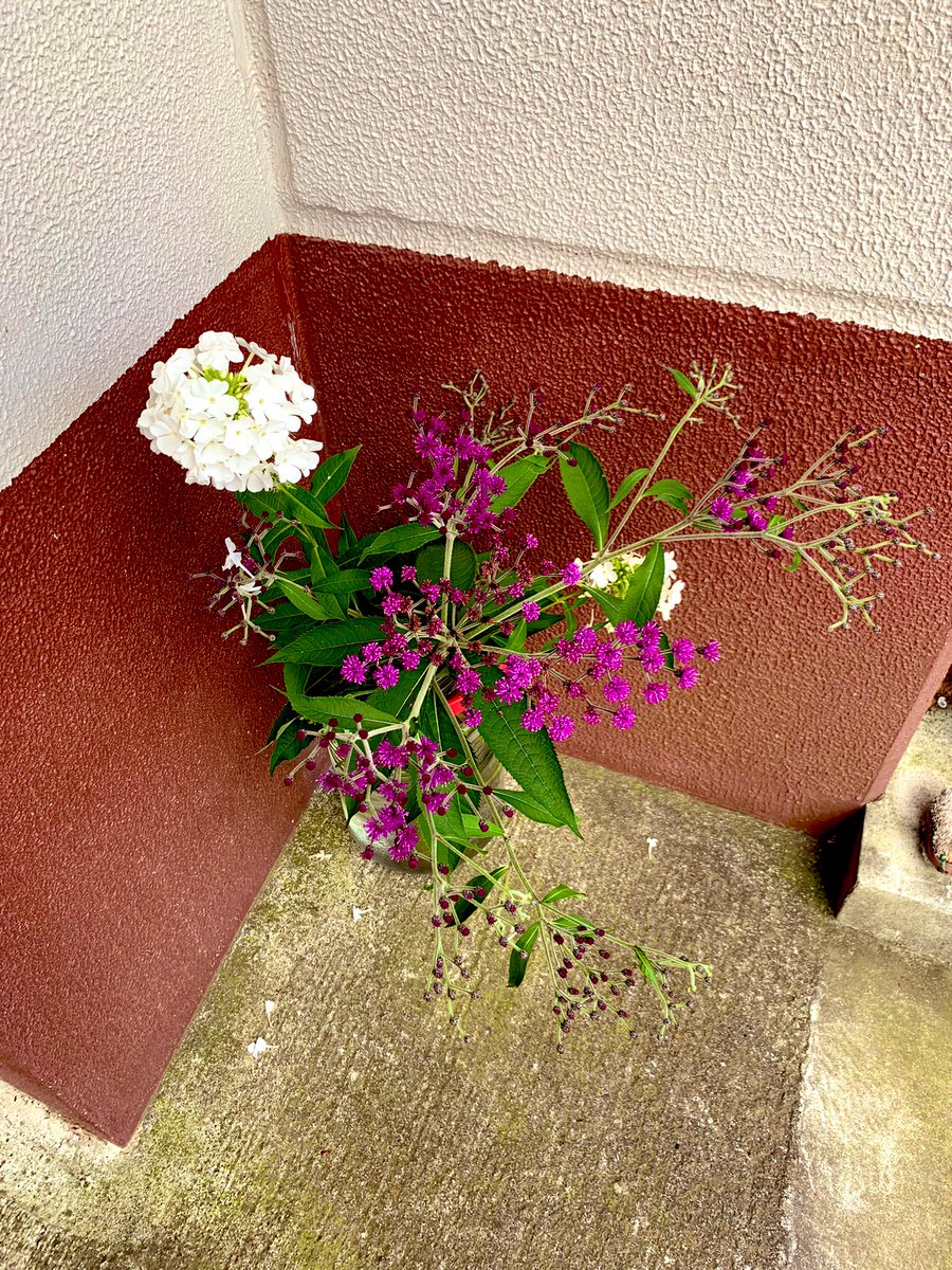 明日、8月22日(日)江古田そるとぴーなつにて。駒野逸美カルテットやります。w/片倉真由子pf伊地知大輔b木村紘ds 日曜日なのでスタート時間は少し早めの17:30-。お間違えなきようm(._.)mレコ発ではCDの曲を沢山やる予定なので今は自由に選曲してライブをします。どうぞお越しください^ ^