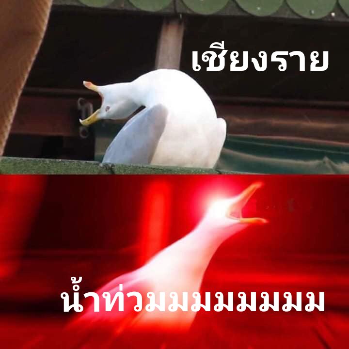 austin / เดี๋ยวมาตอบ tweet media