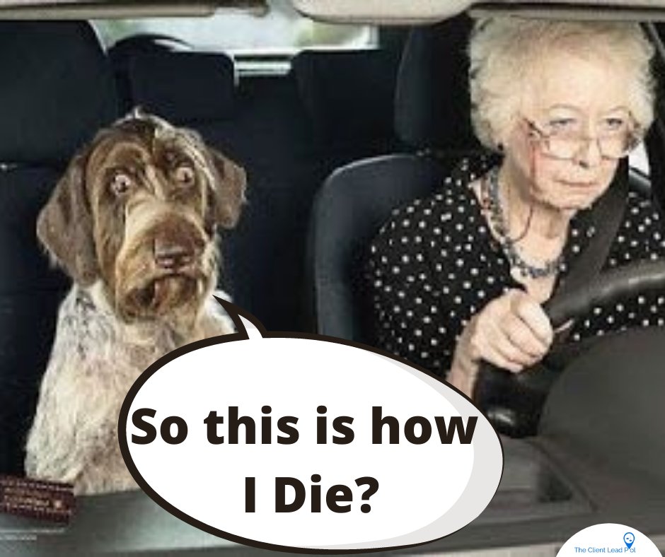 clientleadpool's tweet image. Happy National Senior Citizens Day!

#theclientleadpool #clientleadpool #seniors #love #photooftheday #photography #parents #elders #grandparents #repost #family #bestoftheday #positivevibes #inspiration #happiness