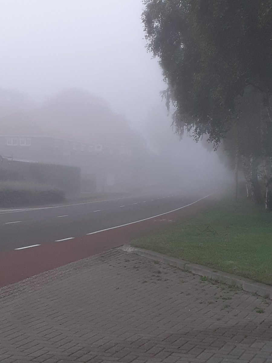 Vanmorgen op route in de wijk. Was een hele kleine wereld. Nu vrij en zon🌝 #icarezorg, #wijkverpleging